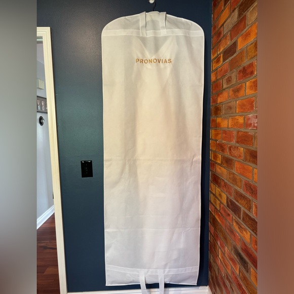 Pronovias Antiope Wedding Dress - Picture 5 of 11